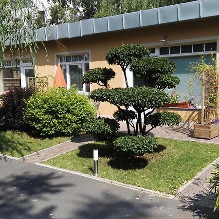 Fewo 2 Dresden Dış mekan fotoğraf